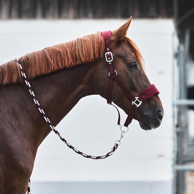 HORZE Kiel Adjustable Horse Halter with Fleece Padding - Dark Red - Pony