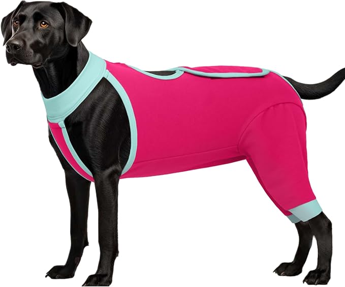 ROZKITCH Dog Surgery Leg Sleeve Rear Legs, Male Female Pet Prevent Licking Wound Elbow Knee Protector, Dog Recovery Suit Cone Collar Alternative Pants Shirt for Wound Heal Wrap Rosered 2XL