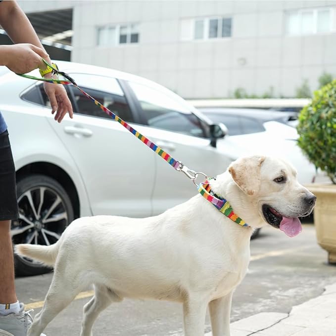 TSPRO Dog Training Leash with Sturdy Metal Buckle, 26 Inches Adjustable Short Leash for Large Dogs, Comfortable Padded Handle (Rainbow Gradient)