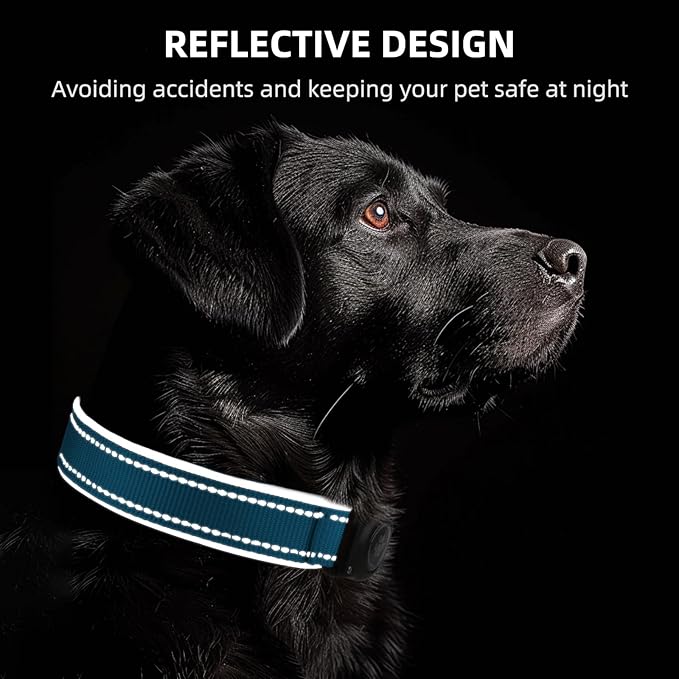 Airtag Dog Collar - 100% Waterproof Air tag Dog Collar Holder for Apple AirTag, Reflective, Soft Padded, Everlasting, GPS Dog Collar for Small Medium Large Dogs (Blue, XL)