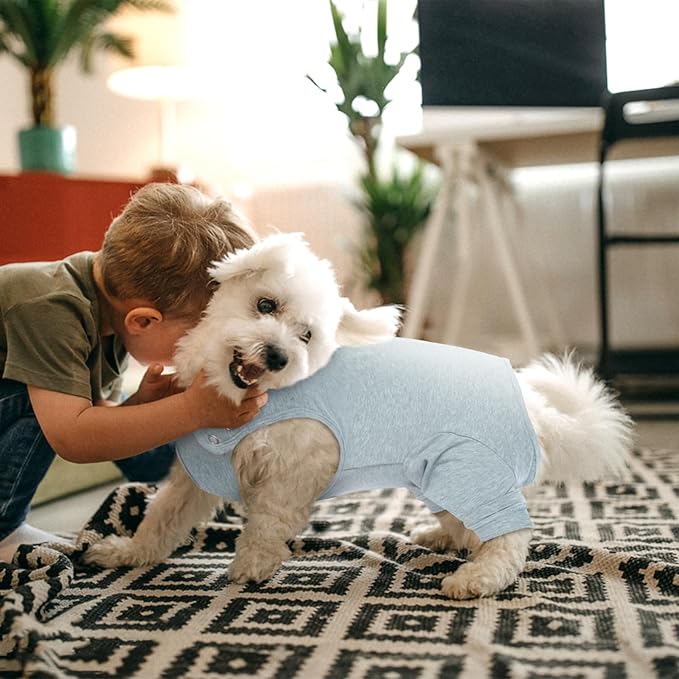 Nanaki Dog Wound Care Shirt, Leg Sleeves to Stop Licking Rear Leg and Abdomen, Surgery Suit for Female Spay, Onesie for Surgery Female, Surgical Recovery Suit Wound Heal Clothes