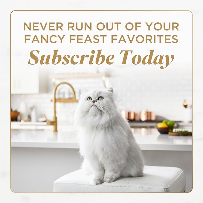 Fancy Feast Gems Pate Cat Food Mousse with Beef and a Halo of Savory Gravy Cat Food - (Pack of 8) 4 oz. Boxes