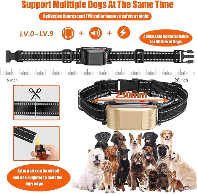 Wireless Dog Fence, Electric Dog Fence & Remote Training Collar, Vibration & Shock, IP65 Waterproof Collar for Large and Medium Dogs with 3 Training Modes, Dog Container Boundary System,for4dogs
