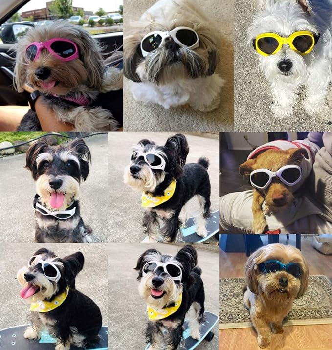 LECONPET Small Dog Sunglasses Waterproof Windproof UV Protection Pet Sunglasses Dog Goggles for Doggy Puppy Cat (Blue)