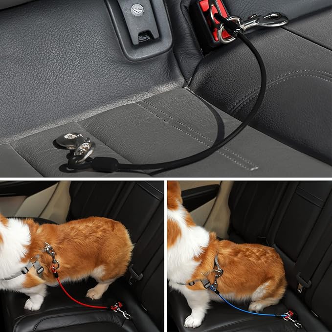 Dog Seat Belt Harness for Car,2pcs Dog Seatbelt of Coated Wire Leash Safety Restraint,No Chew Tether Cable Vehicle Dog Accessories,Double Clips & Latch (2 Pack Black, 24 inch/60 CM)