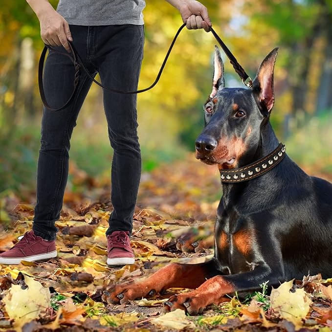 LWBMG Leather Dog Leash - 6ft x 1 inch, Heavy Duty, Braided, Comfortable for Large, Medium & Small Dogs