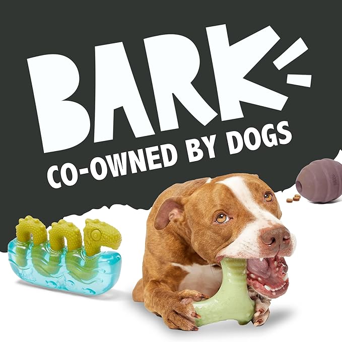 Barkbox Super Chewer Tough Dog Chew Toys for Aggressive Chewers, Plush 2 Toys in 1 (Panda - Large)