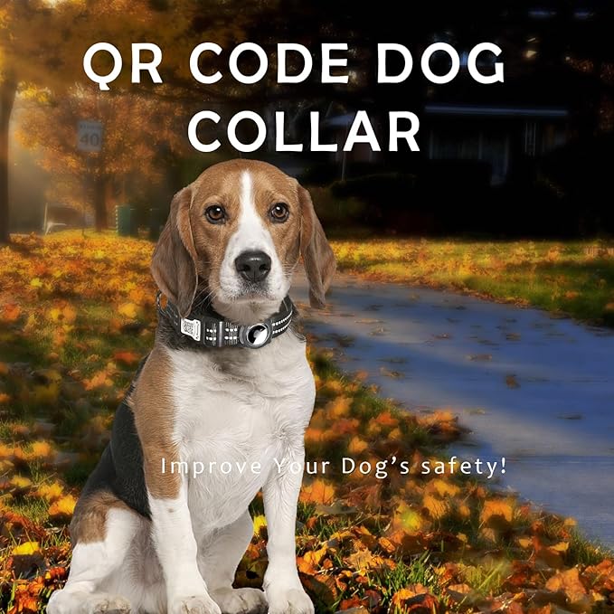 Reflective Dog Collar with Apple AirTag Holder & QR Code Pet ID Tag,Soft Nylon Adjustable Dog Tracker Collar with Safety Lock for Medium Dogs(Black, M)