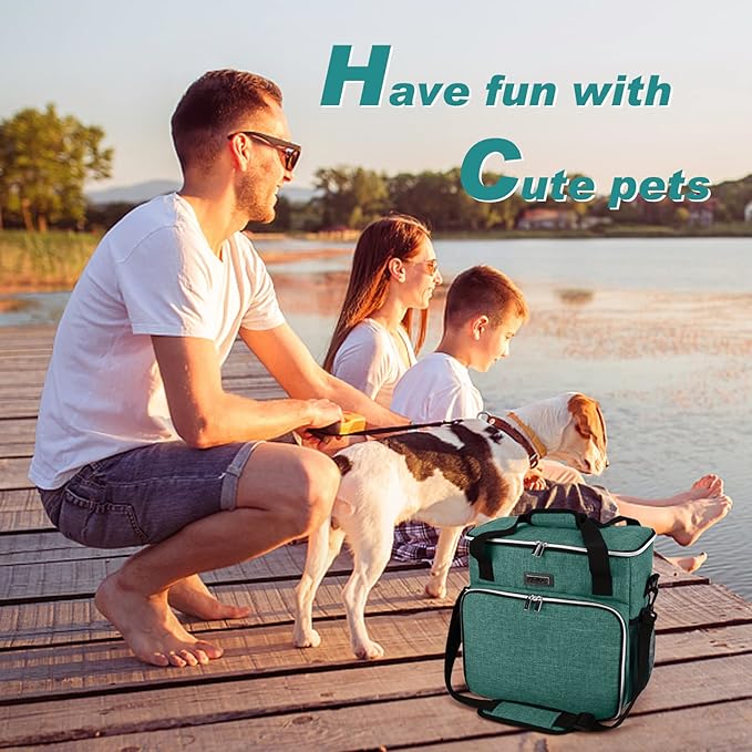BAGLHER Pet Travel Set Airline-Approved Carrier for Small/Medium Cats & Dogs + Travel Bag with Food Containers & Silicone Bowls, Grey & Green