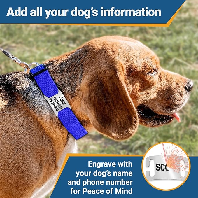 GoTags Reflective Personalized Dog Collar with Nameplate, Adjustable Dog Collar with Custom Engraved Steel Slide On Pet ID Tag, Silent, No Noise Dog Tag for Large Medium or Small (Blue, Large)