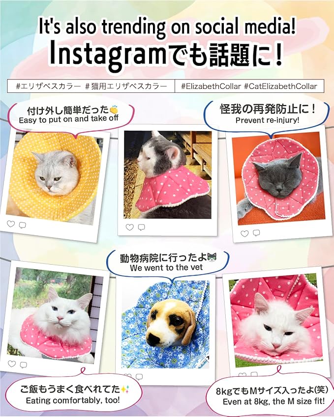 Elizabethan Collar (美/首巻/黄/M)