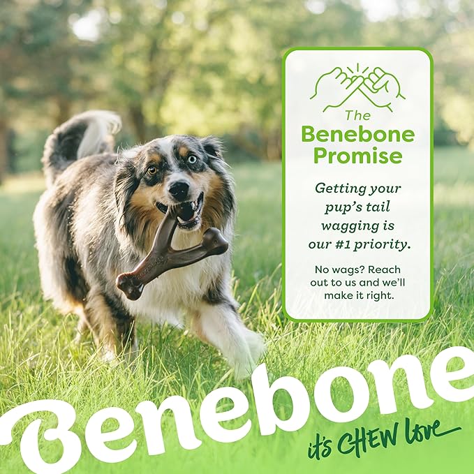 Benebone Wishbone Durable Dog Chew Toy for Aggressive Chewers, Made in USA, Large, Real Chicken Flavor