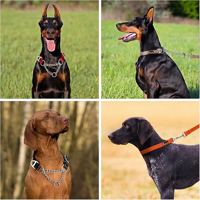 Plutus Pet Martingale Dog Collar with Stainless Steel Chain and Reflective Nylon, Adjustable No Pull Training Collar, for Small Medium, and Large Dogs, Pink, M