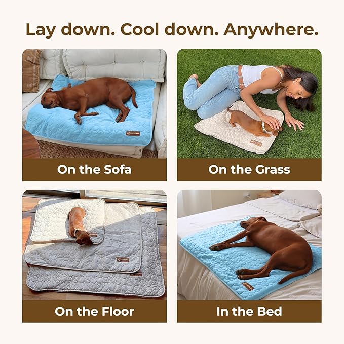 Dog Cooling Mat- Ice Silk Summer Comfort, Self Cooling, Non-Slip Dog Pad, Durable & Washable, Mat for Small Dogs 45x55 cm, Support Shelter Dogs with Every Purchase (Beige)