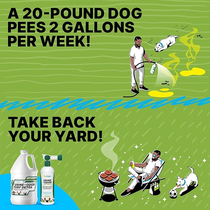Urine & Odor Turf Detox: Gallon Refill of Professional Enzyme Cleaner & Odor Eliminator for Artificial Grass, Turf, Concrete, Patio & Kennels, Pet Urine Enzymatic Cleaner for Dogs & Cats
