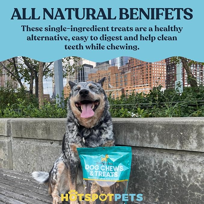 Hotspot Pets 4–5 Inch Rawhide Dog Bones (10 Pack) – USDA Certified Facility, from Grass-Fed Brazilian Cows, Supports Dental Health & Good Behavior