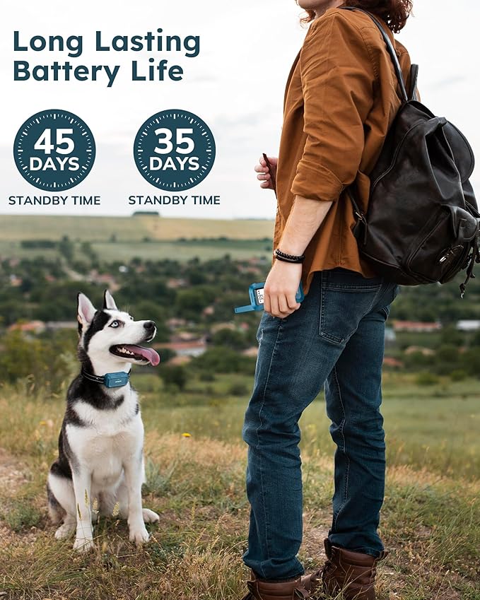 Jugbow Dog Shock Collar 2 Dogs - 4200FT Dog Training Collar with Remote, IPX8 Waterproof E Collar for Dogs Training, Rechargeable Collars for Dogs (10-120lbs)