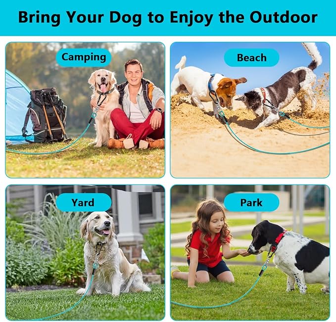 Dog Tie Out Cable 20FT-500Lbs,Heavy Duty Dog Leads&Tether for Yard with Swivel Hook,Small Large Dogs Leash Line for Outside,Rust Chew Proof Dogs Run Cable for Outdoor Camping(Teal, 20FT)