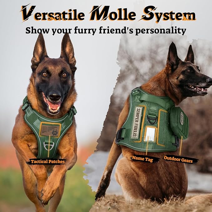 rabbitgoo Dog Harness Medium Sized No Pull, Tactical Service Pet Vest with Molle and Control Handle, Adjustable and Reflective Military Harness for Easy Walking and Training, Green, M