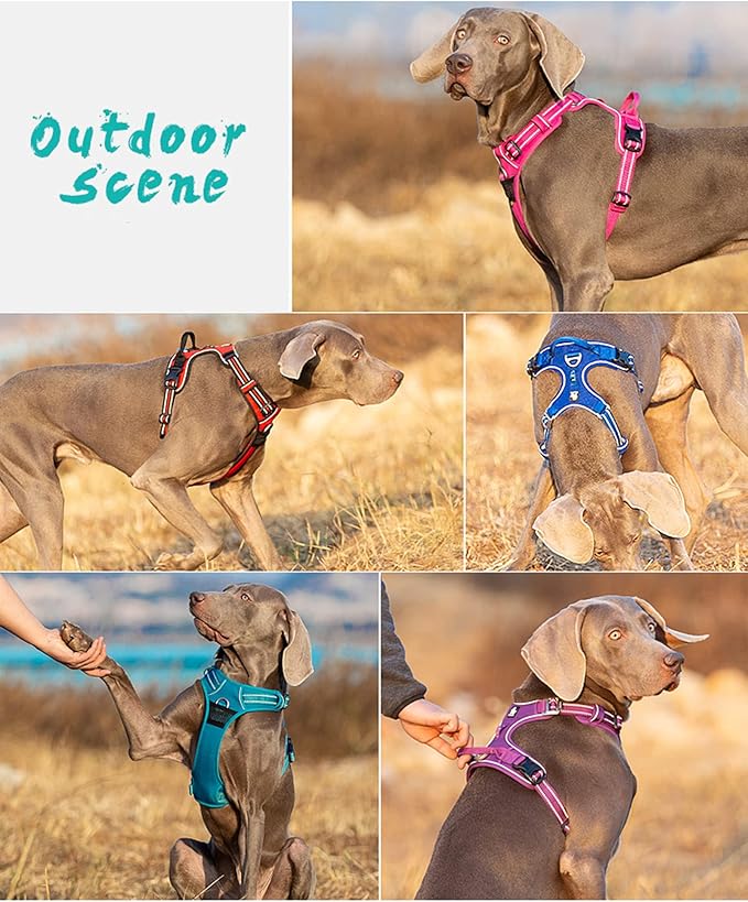 Truelove Dog Harness No Pull Nylon Reflective Pet Harness Adjustable Comfortable Control Step-in Brilliant Colors TLH56512 Orange