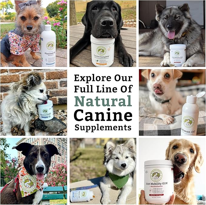 Wholistic Pet Organics Canine Complete - Dog Multivitamin Powder - 8 Oz - Daily Dog Vitamins and Supplements for Homemade Food - Immune System, Skin, Coat & Overall Health - Small and Large Breed