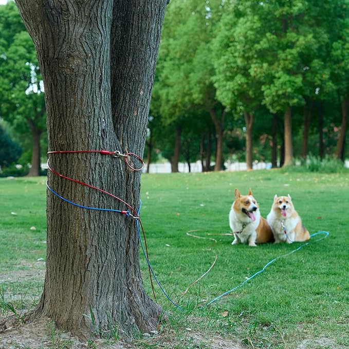 Amazon Basics Tie-Out Cable for Dogs up to 60 lbs, 25 feet, Blue