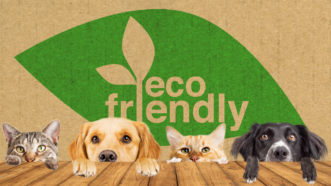 The Ultimate Guide to Choosing Safe and Eco-Friendly Pet Products