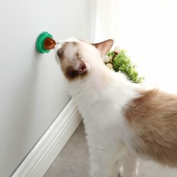BESPORTBLE 10Pcs Catnip Balls Cat Catnip Ball Natural Licking Edible Wall Stick on Cat Licker Toy Pet Lollipop