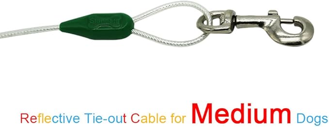 Petest 16 Inch Spiral Stake with 15ft Reflective Tie-Out Cable for Medium Dogs Up to 60 Pounds DarkGreen & Silver