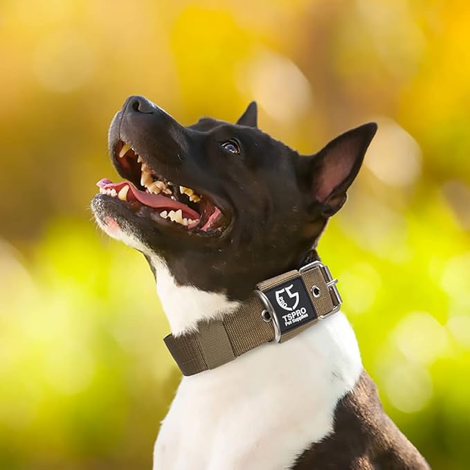 TSPRO Tactical Dog Collar 1.25 Inch Wide Thick Dog Collars with Heavy Duty Metal Buckle, Durable, Strong, Adjustable for Small Dogs (Khaki S)