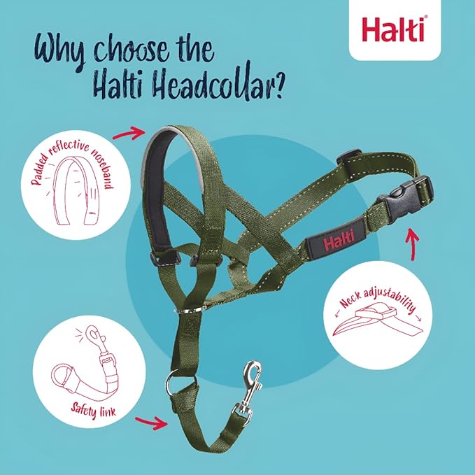 HALTI Headcollar - to Stop Your Dog Pulling on The Leash. Adjustable, Reflective and Lightweight, with Padded Nose Band. Dog Training Anti-Pull Collar for Medium Dogs (Size 2, Forest Green)