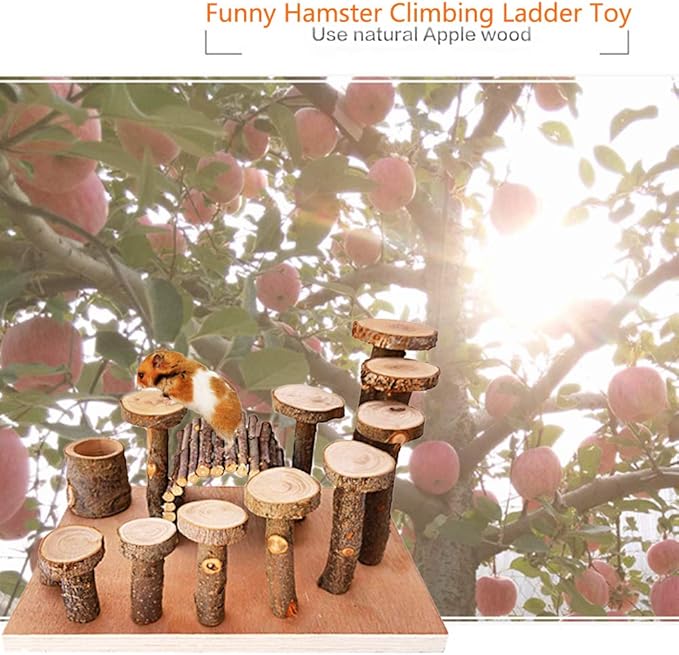 Wooden Chinchilla Platform Toy - Activity Playground Stand Ladder Hideout Set Bridge Ramps Chew Toys for Mouse, Dwarf Hamster, Gerbil, Rat, Sugar Glider, Syrian Hamster, Small Animals