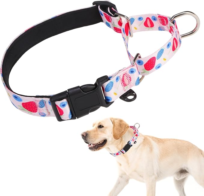 KOOLTAIL Martingale Collar for Dogs,Soft Padded Nylon Heavy Duty Dog Collar for Small Medium Large Dogs,Adjustable No Pull Durable Wide Puppy Training Collar With Pattern Design for Boys Girls, Pink L
