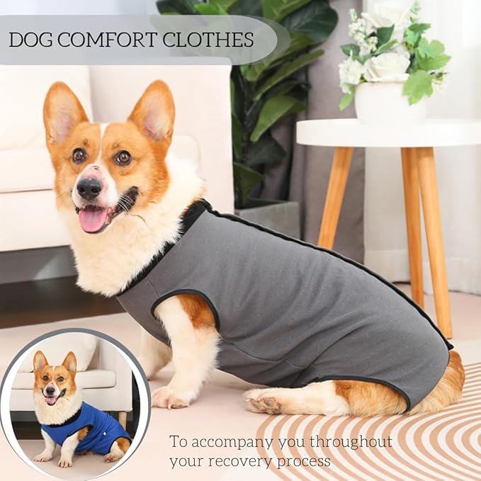 Dog Surgery Recovery Suit,Abdominal Surgical Suit for Dogs,Recovery Suit for Dogs,Prevent Licking Surgical Wound Dog Cone Alternative Blue XL