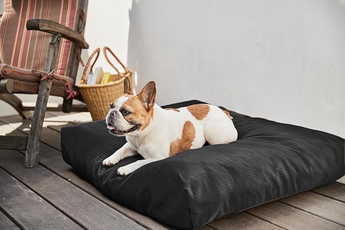 K9 Ballistics Tough Rectangle Pillow XXL Extra Large Dog Bed - Removable Cover, Washable, Durable & Water Resistant Dog Bed Made for Big Dogs 68" x40 Light Gray Velvet