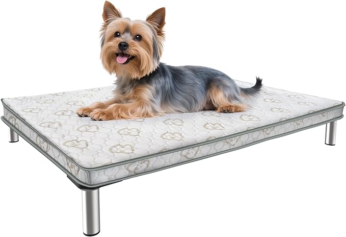 FXW TitanNest Chew-Proof Elevated Dog Bed, Raised Cot for Indoor/Outdoor/Camping Use, Durable & Waterproof Cooling Pet Bed with Exclusive Reuseable Cover for Toy Dogs, 24.0"L x 20.0"W x 4.1"H, Black