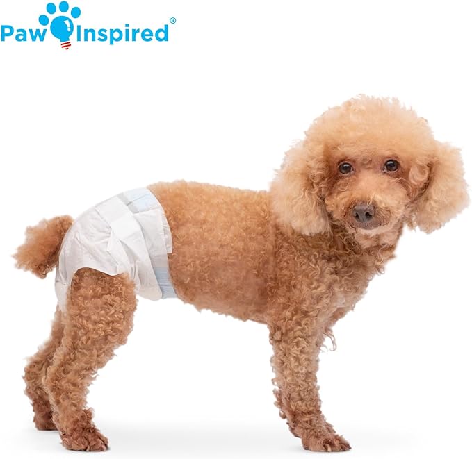 Paw Inspired Disposable Dog Diapers | Female Dog Diapers Ultra Protection | Diapers for Dogs in Heat, Excitable Urination, or Incontinence (12&144 Count) (Small (144 Count))