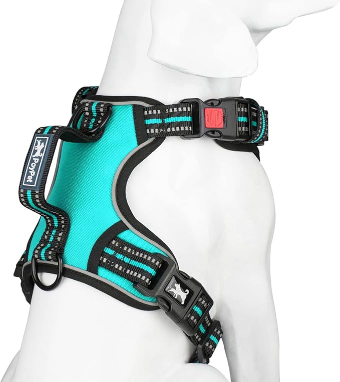 PoyPet No Pull Dog Harness, No Choke Front Clip Reflective Dog Vest with Soft Padded Vertical Handle, 3 Leash Attachments for Small Medium Large Dogs (Mint Blue,M)