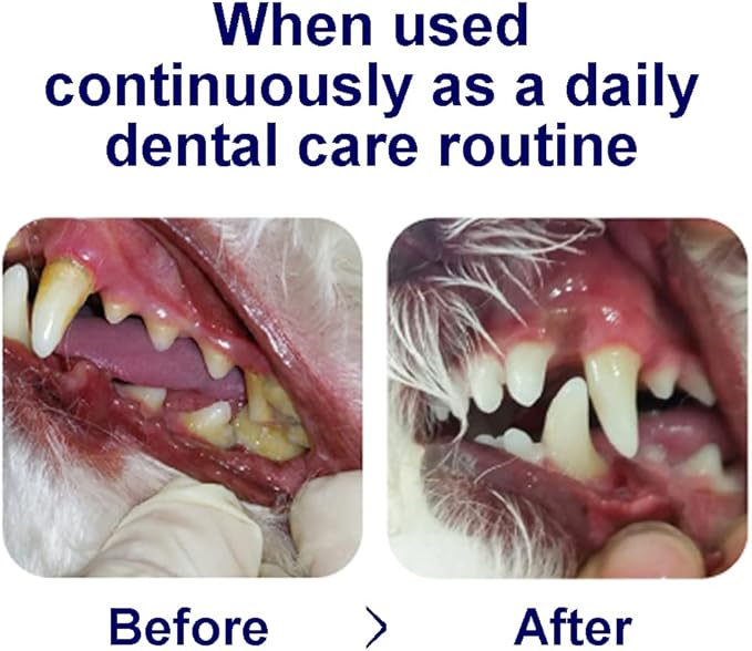 Breath Freshener Strip for Clean Teeth, Fresh Breath, & Healthy Mouth: Dog Water Additive for Dental Care - Pet Bad Breath Remedy - Cat Dental Mint Treats (10 Strips)
