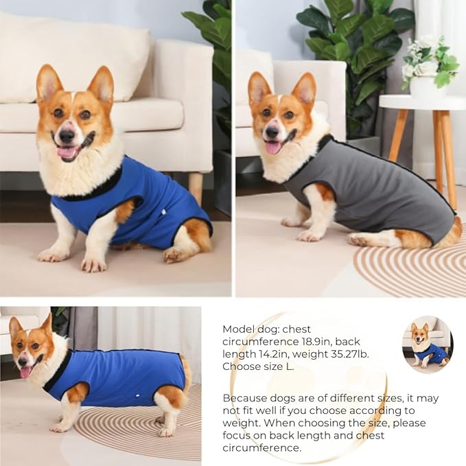 Dog Surgery Recovery Suit,Abdominal Surgical Suit for Dogs,Recovery Suit for Dogs,Prevent Licking Surgical Wound Dog Cone Alternative Grey M