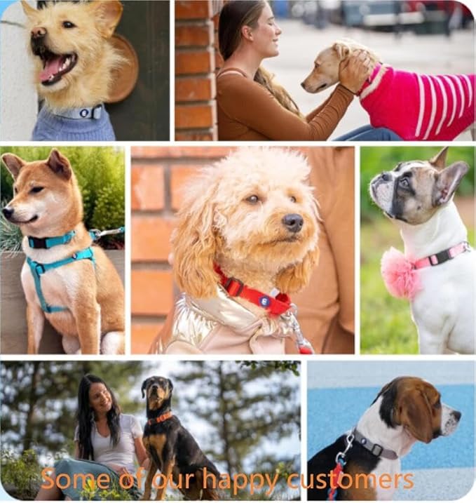 Blueberry Pet Essentials Medium Dog Collar in French Pink | Adjustable & Eco-Friendly Durable Nylon Strap | Classic Collar for Medium Dogs, Boy & Girl Pets