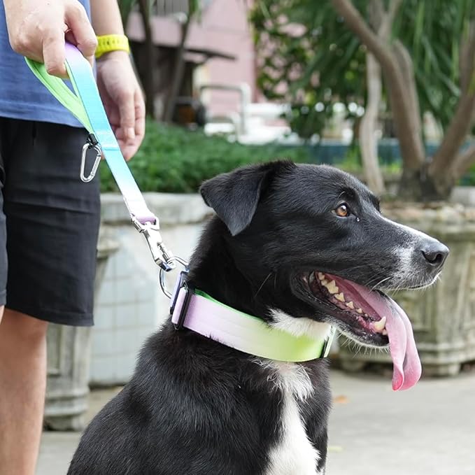 TSPRO Dog Training Leash with Sturdy Metal Buckle, 14 Inches Short Leash for Large Dogs, Comfortable Padded Handle (Blue - Pink Gradient)