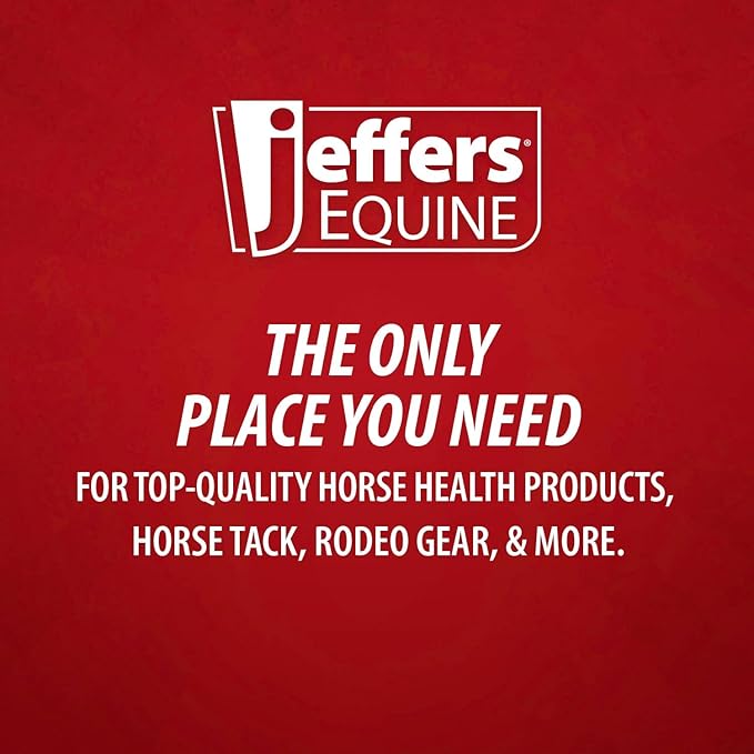 Jeffers Equine Neon Horse Boots – 1 Pair – Turquoise & Purple – Large Size – Breathable Neoprene, Secure Straps Closures – Durable Protection for Front & Hind Legs, Trail & Riding Use