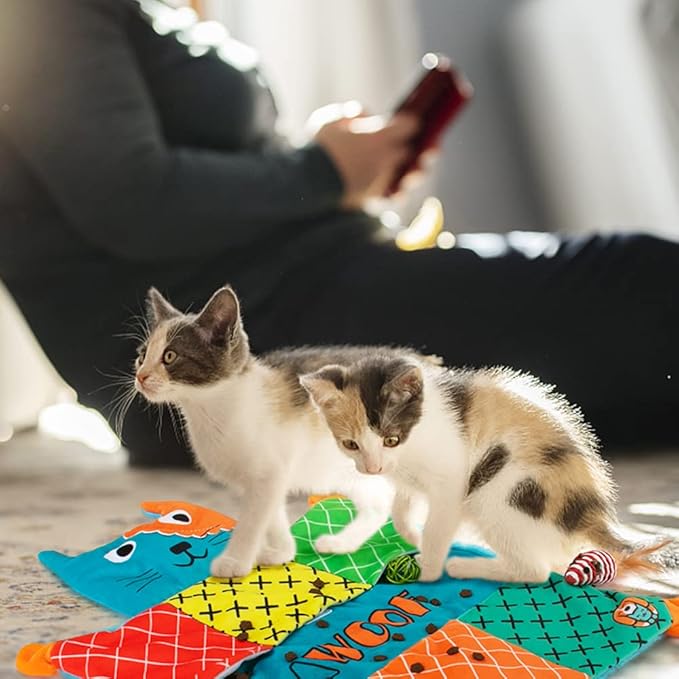 AWOOF Cute Soft Catnip Mat, Interactive Cat Toys for Indoor Cats