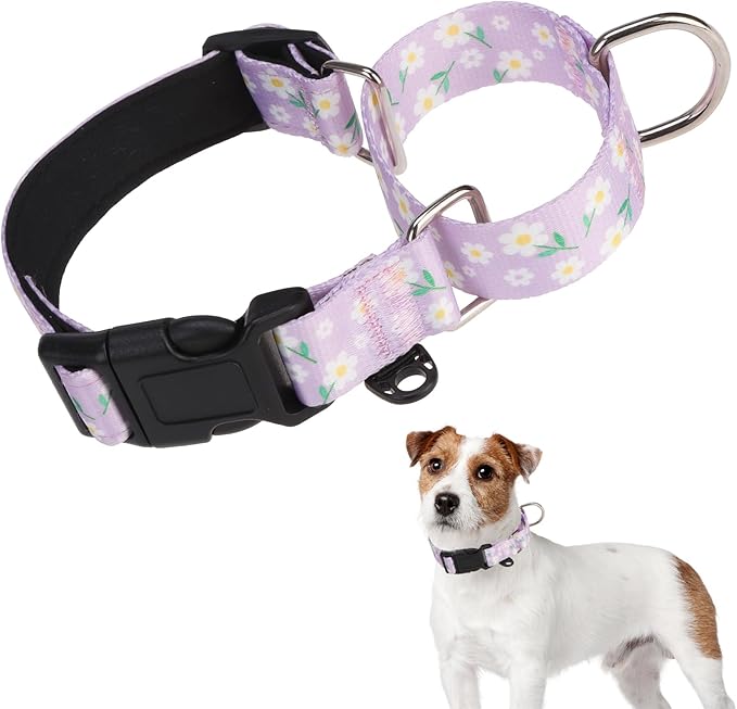 KOOLTAIL Martingale Collar for Dogs,Soft Padded Nylon Heavy Duty Dog Collar for Small Medium Large Dogs,Adjustable No Pull Durable Wide Puppy Training Collar With Pattern Design for Boy Girl, Purple M