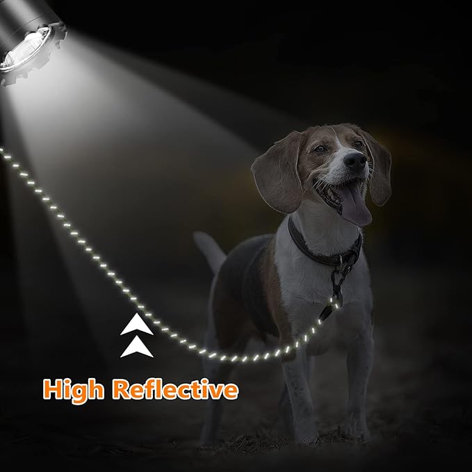 Long Dog Leash for Dog Training 10FT/15FT/20FT/30FT/40FT/50FT/100FT Reflective Leash with 2 Hooks, Heavy Duty Dog Lead for Large Medium Small Dogs Outside Walking Camping Yard, Green 30FT