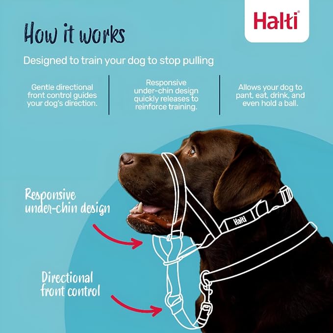 HALTI Headcollar - to Stop Your Dog Pulling on The Leash. Adjustable, Reflective and Lightweight, with Padded Nose Band. Dog Training Anti-Pull Collar for Medium Dogs (Size 2, Forest Green)