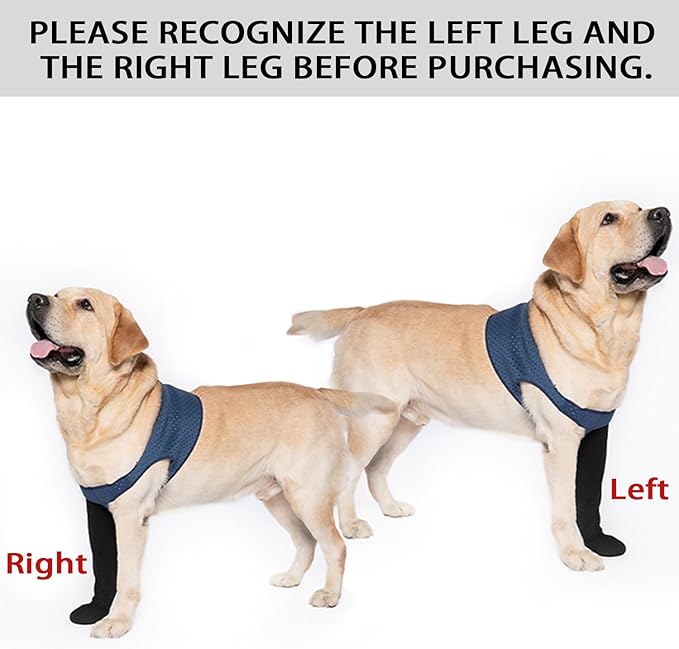 COODEO Dog Socks to Prevent Licking Paws, Healing Boots & Paw Protectors with Non-Slip Bottoms for Wound Protection, Waterproof Sleeve Shoes for Licking（Blue，M_Right