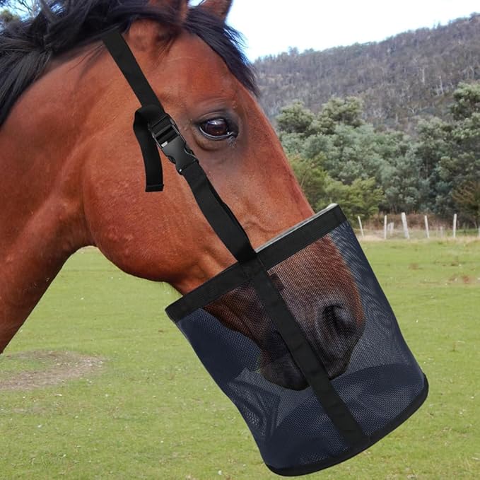 Heavy-Duty Horse Feed Bags - with Adjustable Strap, Comfort Neck & Nose Pads, and Double Waterproof Bottom Mesh (2-Pack) (Blue+Blue)