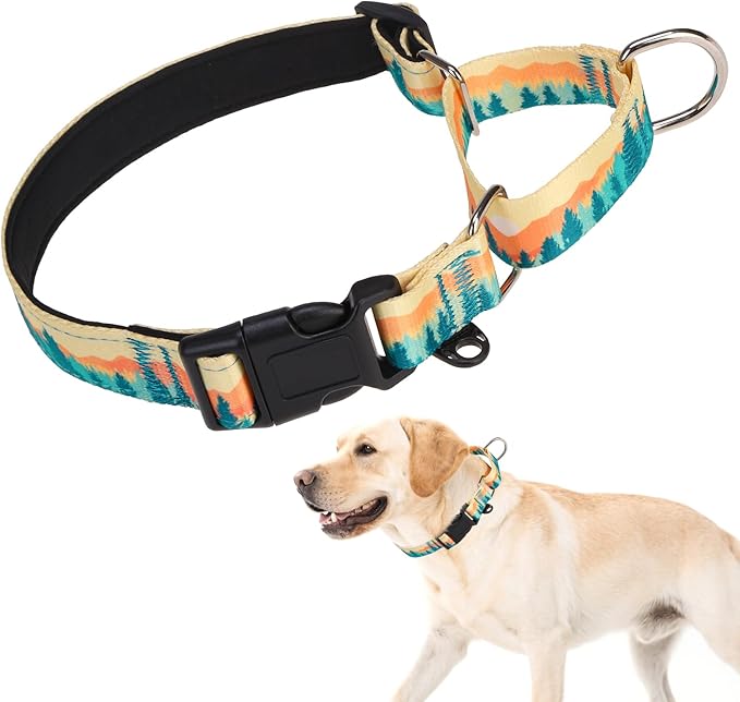 KOOLTAIL Martingale Collar for Dogs,Soft Padded Nylon Heavy Duty Dog Collar for Small Medium Large Dogs, Adjustable No Pull Durable Wide Puppy Training Collar with Pattern Design for Boys Girls, L